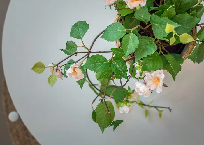 Ninfea Dream Appartement *